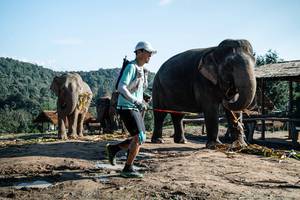 BIB: 
                            <button type="button" onclick="openModal(22422938)" class="btn btn-primary btn-sm float-right btn-popup" data-toggle="modal" data-target=".modal-high-quality">
                        <i class="fas fa-shopping-cart"></i> Add to Cart
                    </button>
                                            <button type="button" onclick="isThisMe(22422938, true)" class="btn btn-success btn-sm float-right btn-popup btn-isme hidden" data-toggle="tooltip" data-placement="bottom" title="นี่คือรูปของคุณใช่ไหม คลิกที่นี่เพื่อเอาเข้าอัลบั้ม">
                        <i class="fas fa-plus"></i> Add to album
                    </button>
                    <button type="button" onclick="isThisMe(22422938, false)" class="btn btn-warning btn-sm float-right btn-popup btn-isnotme hidden">
                        <i class="fas fa-ban"></i> Remove from album
                    </button>